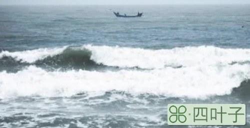 看海去哪里