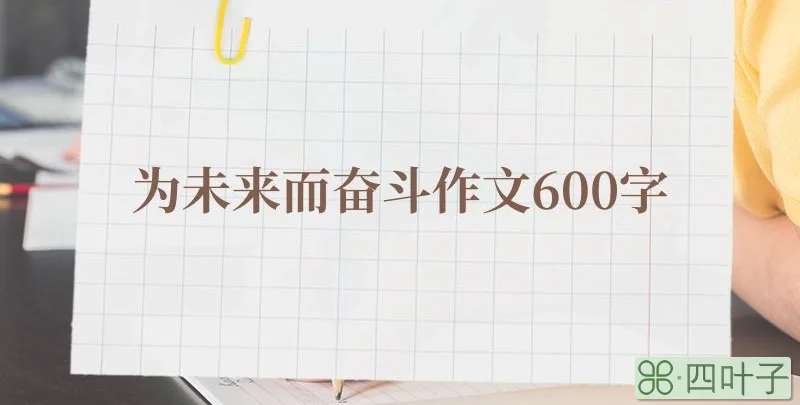 为未来而奋斗作文600字