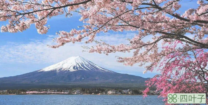 富士山在哪里