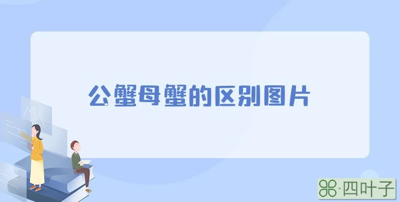 公蟹母蟹的区别图片