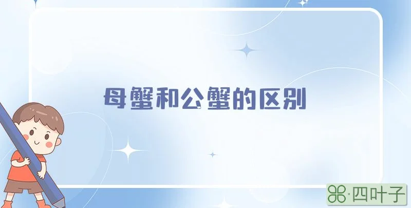 母蟹和公蟹的区别