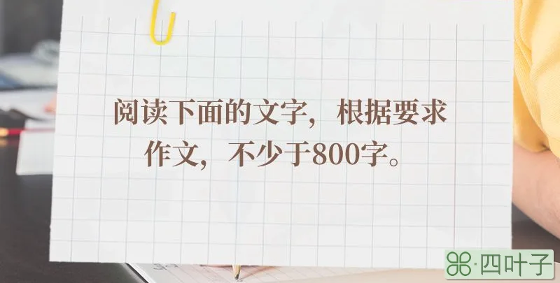 阅读下面的文字，根据要求作文，不少于800字