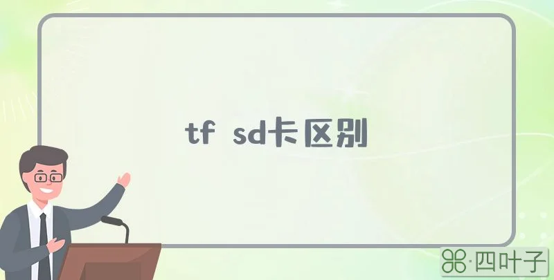 tf sd卡区别