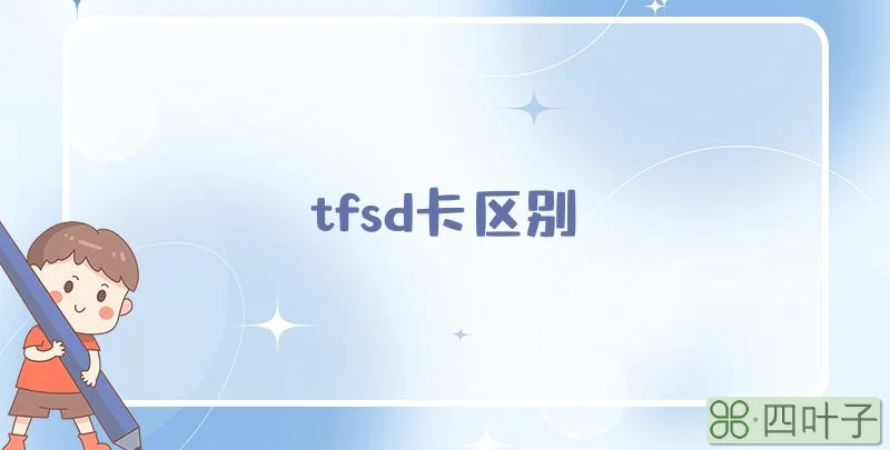 tfsd卡区别