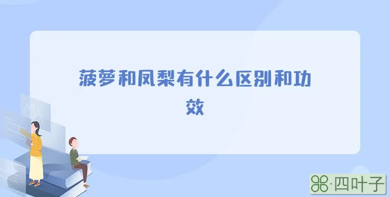 菠萝和凤梨有什么区别和功效