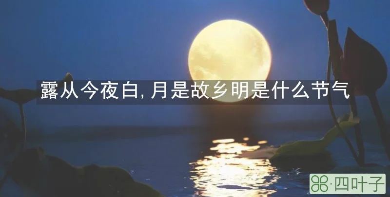 露从今夜白,月是故乡明是什么节气