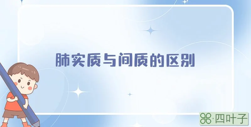 肺实质与间质的区别