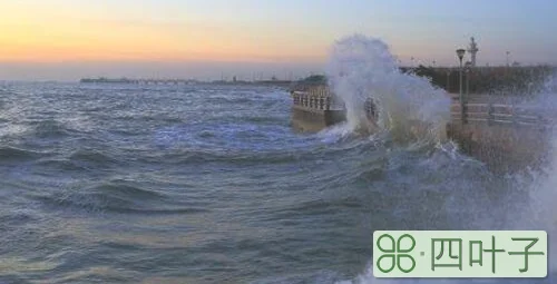 大海退潮水去哪里了