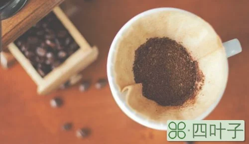 咖啡渣发酵方法