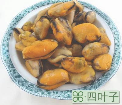 海虹可以冷冻吗