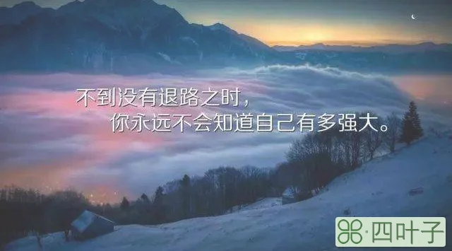 追风逐梦的骁勇的意思