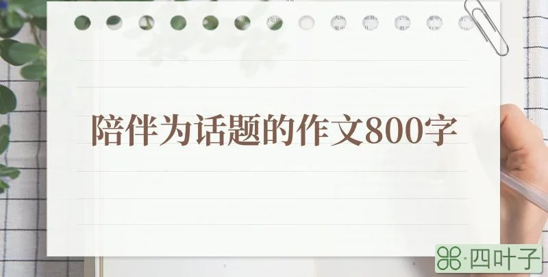 陪伴为话题的作文800字