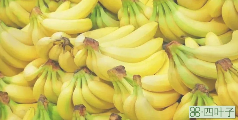 国产香蕉和进口香蕉的区别