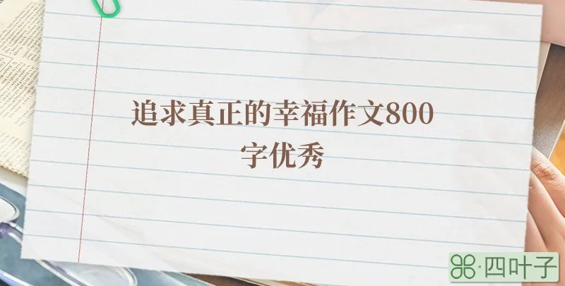 追求真正的幸福作文800字优秀