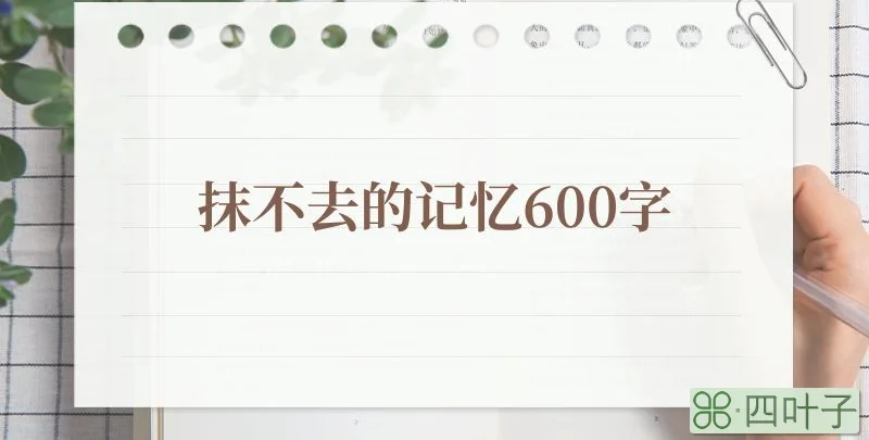 抹不去的记忆600字