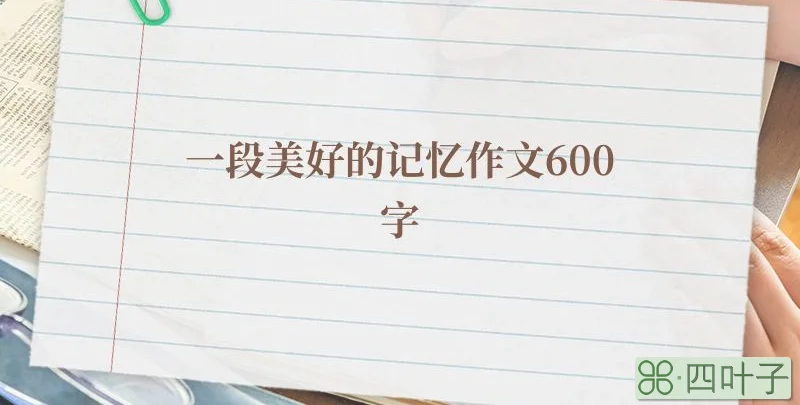 一段美好的记忆作文600字