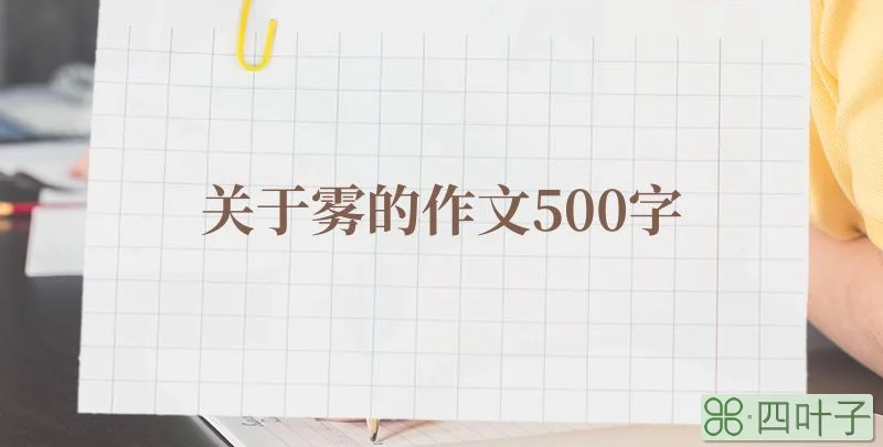 关于雾的作文500字