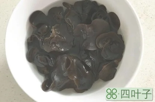 木耳泡一夜还能吃吗