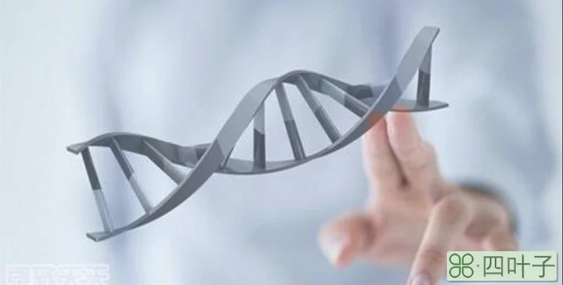 基因多态性检测是什么