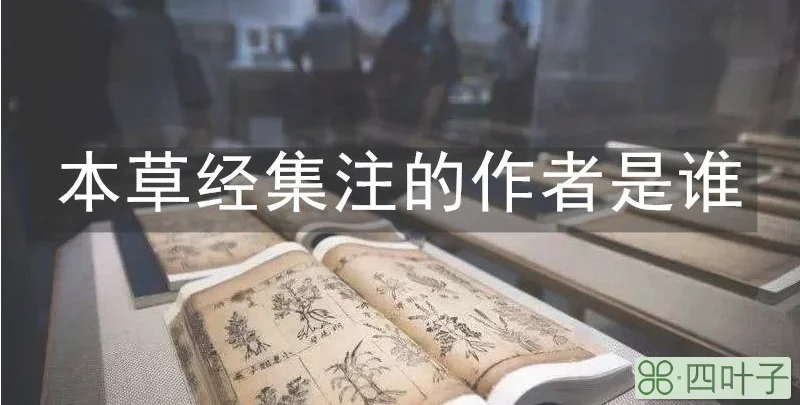 本草经集注的作者是谁