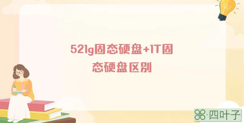 521g固态硬盘+1T固态硬盘区别