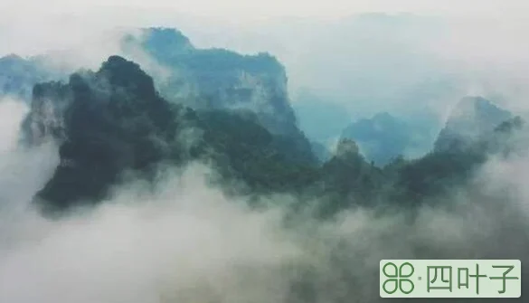 山色空门雨亦奇的意思