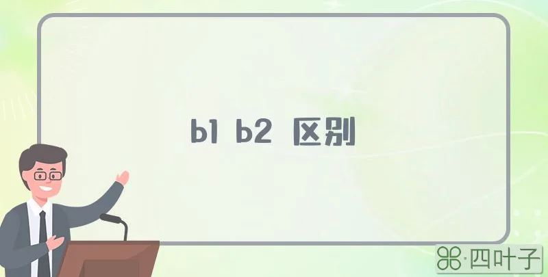 b1 b2 区别