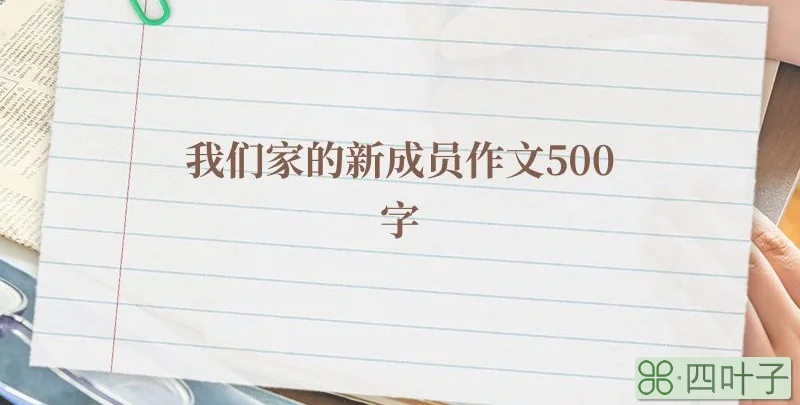 我们家的新成员作文500字