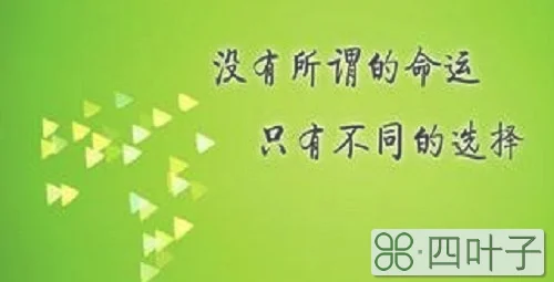 一个人的命运由什么决定