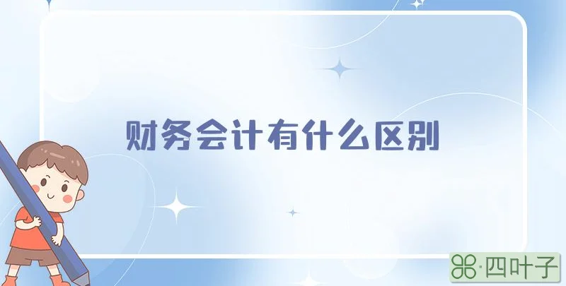 财务会计有什么区别