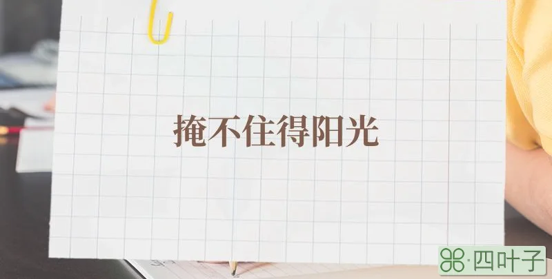 掩不住得阳光