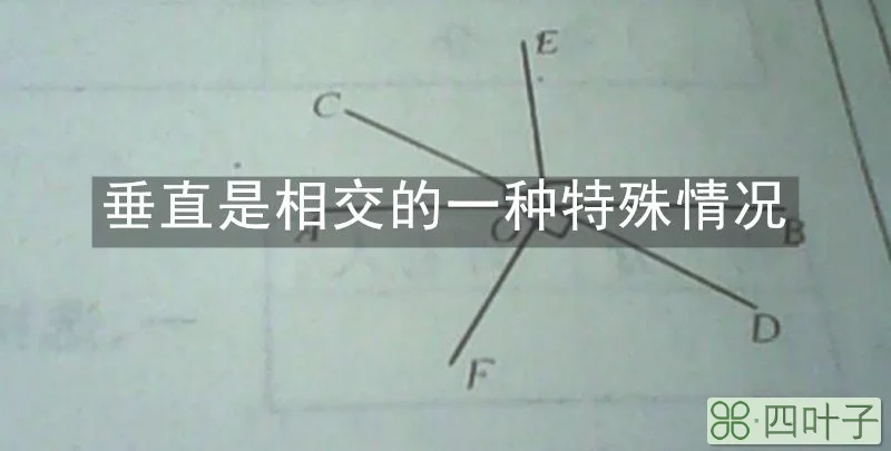 垂直是相交的一种特殊情况吗