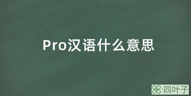 pro汉语什么意思