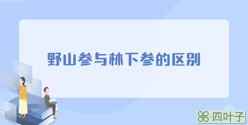 野山参与林下参的区别