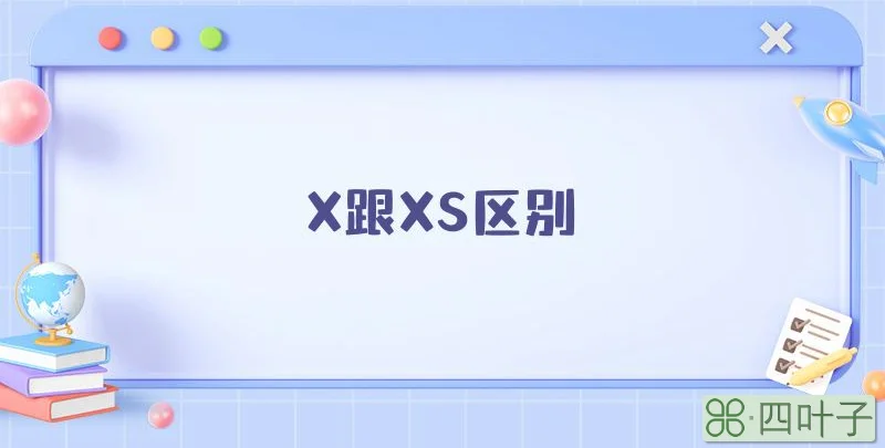 X跟XS区别