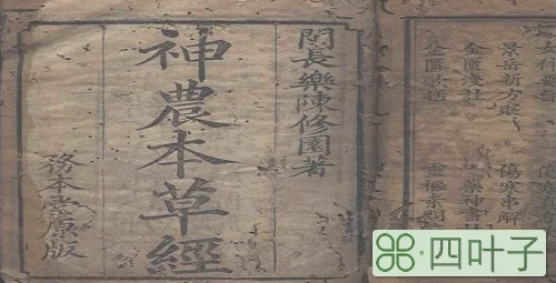 中国现存最早的中草药学著作是