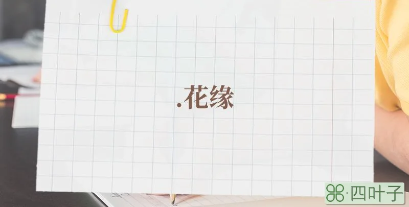 .花缘