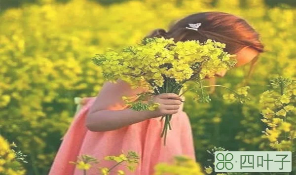 静待花开什么意思