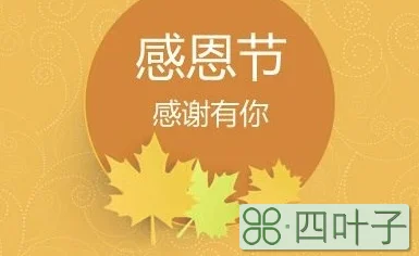 十一月有什么节日