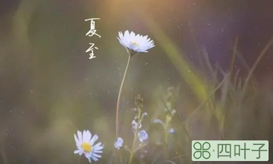 夏至是昼夜一样长吗