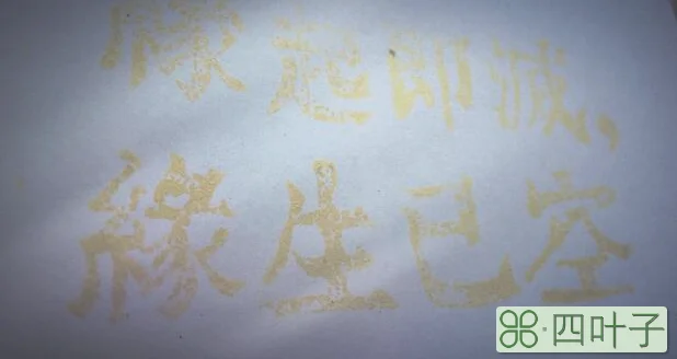 缘起即灭缘生已空解释