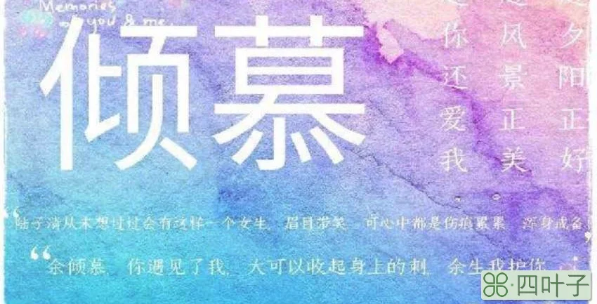 倾慕和爱慕的区别是什么