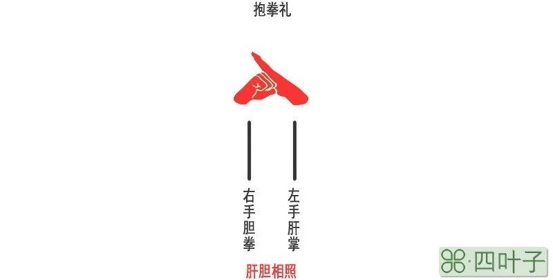 左手抱拳与右手抱拳的区别
