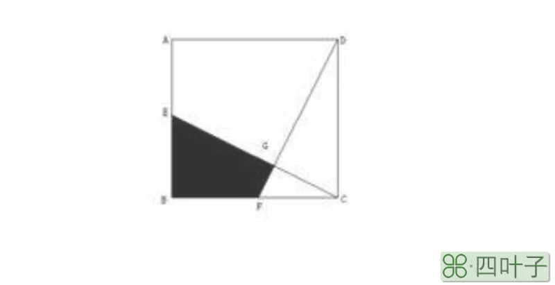 数学社团活动有哪些