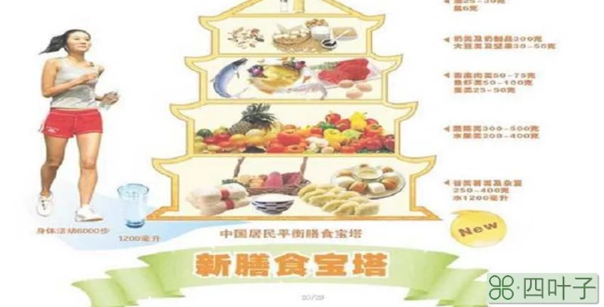 合理膳食对健康意义