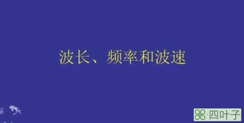 波长和波速的关系
