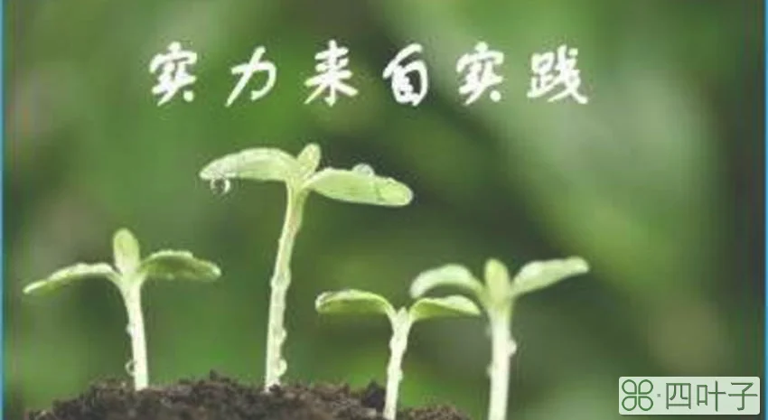 实力不允许的意思