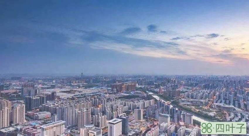 郑姆斯特丹什么意思