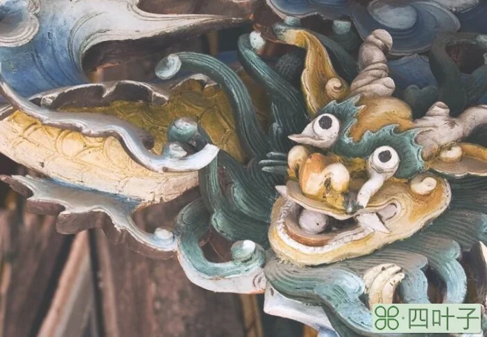 欲钱买不见首尾的生肖
