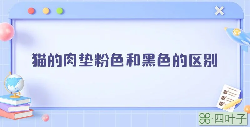 猫的肉垫粉色和黑色的区别
